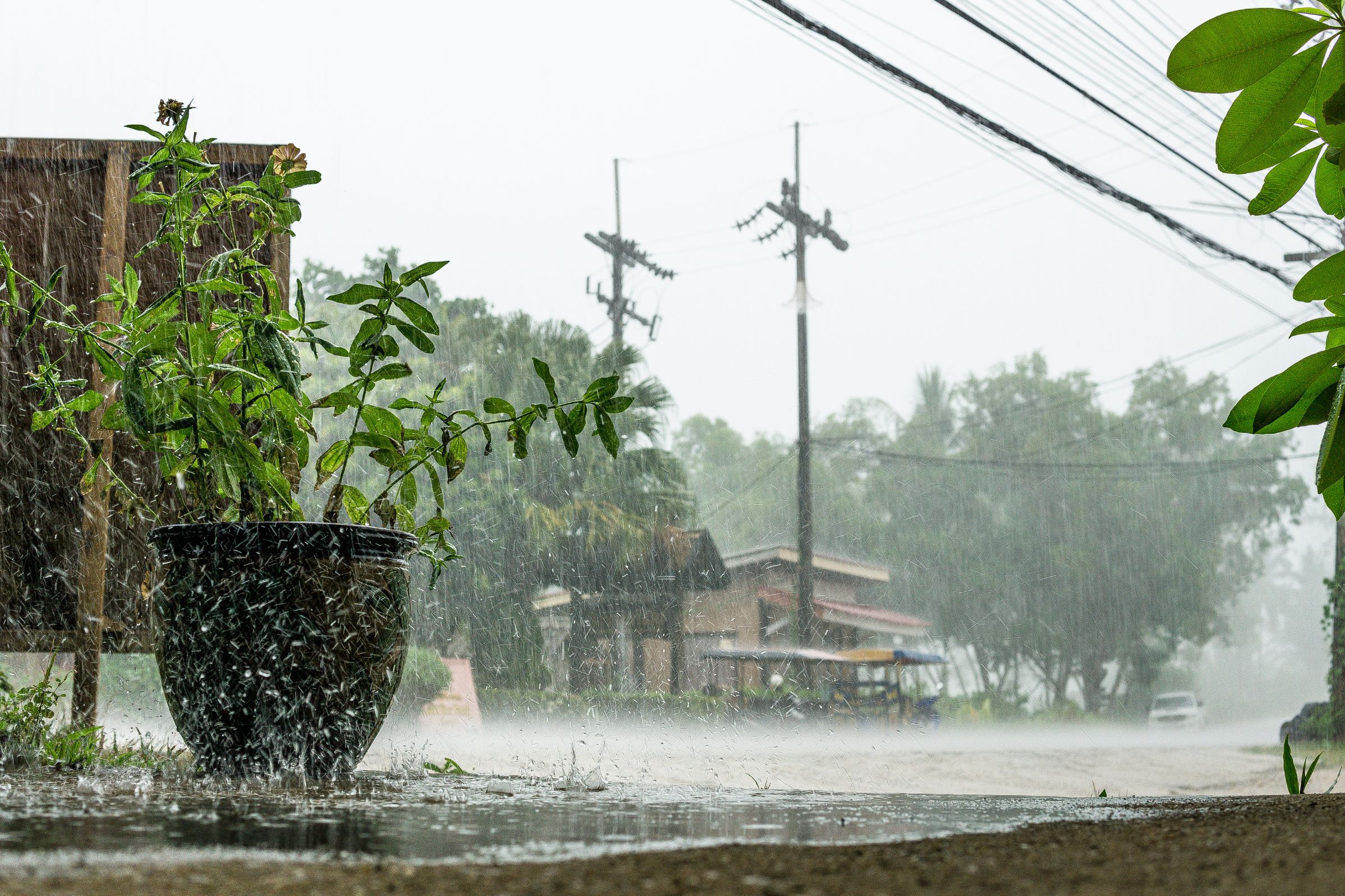 Extreme Weather on the Rise