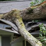 Tree fallen on house roof causing storm damage.